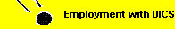 Employment with DICS